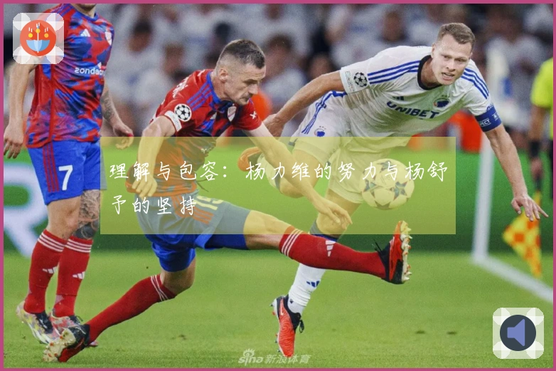 理解与包容：杨力维的努力与杨舒予的坚持